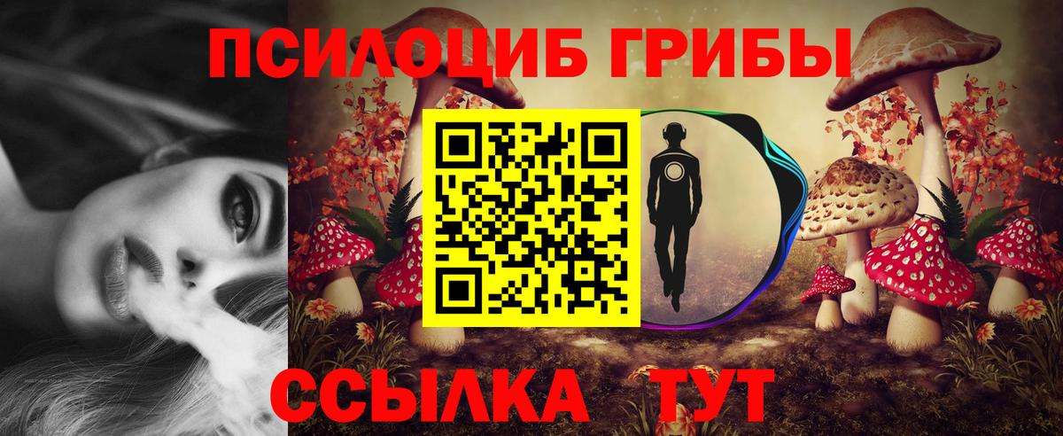 Железногорск  Галлюциногенные грибы ЛСД  Псилоцибиновые грибы прущие грибы  Вход с VPN 